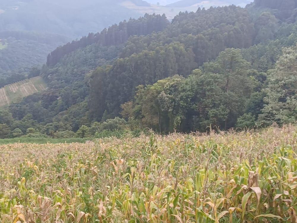 Loteamento e Condomínio à venda, 168000m² - Foto 4