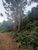 Loteamento e Condomínio, 17 hectares - Foto 3
