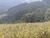 Loteamento e Condomínio, 17 hectares - Foto 4