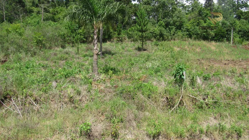 Terreno à venda, 450M2 - Foto 3