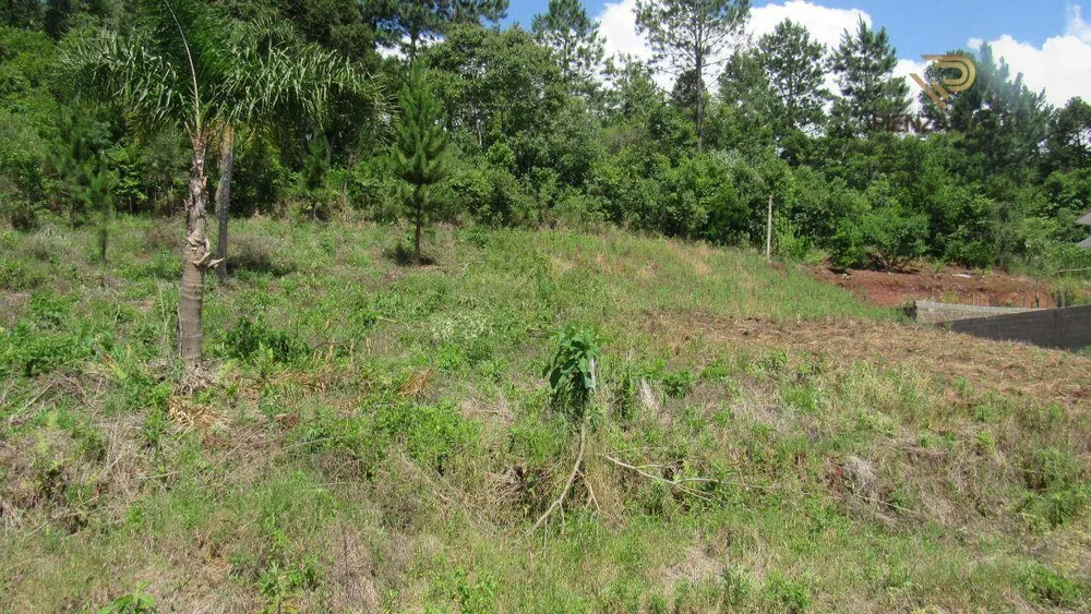 Terreno à venda, 450M2 - Foto 4