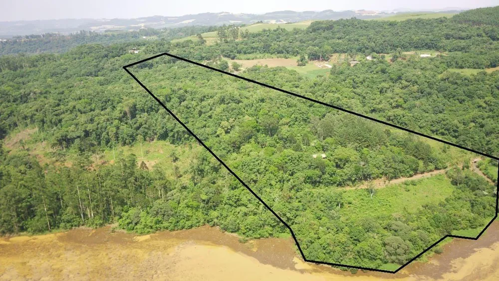 Terreno, 4 hectares - Foto 11