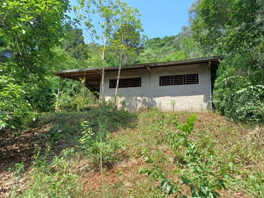 Terreno, 4 hectares - Foto 8