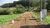 Loteamento e Condomínio, 12 hectares - Foto 3