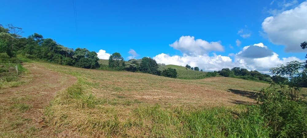 Loteamento e Condomínio, 14 hectares - Foto 6