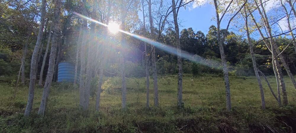 Loteamento e Condomínio, 14 hectares - Foto 14