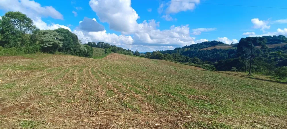 Loteamento e Condomínio, 14 hectares - Foto 9