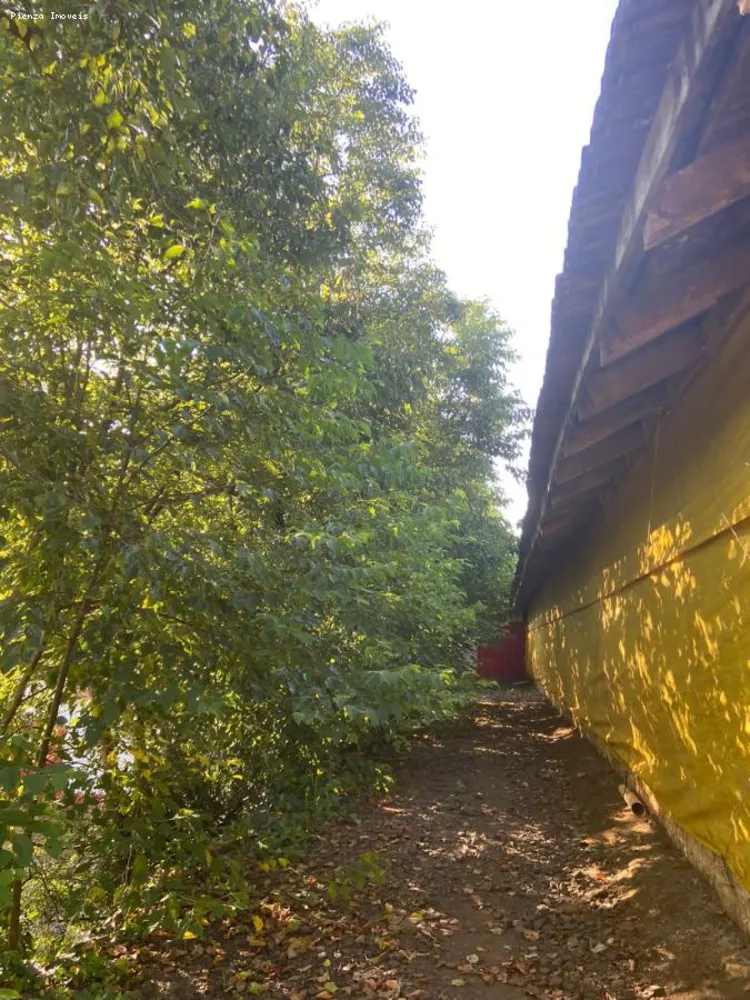 Terreno, 5 hectares - Foto 7