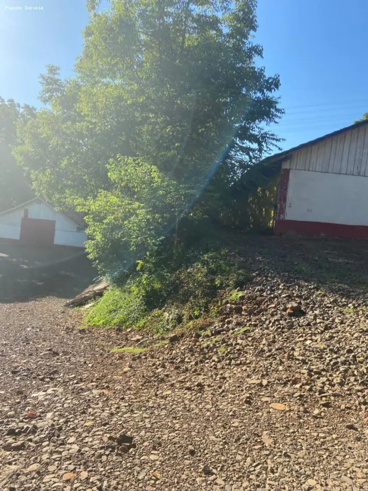 Terreno, 5 hectares - Foto 11