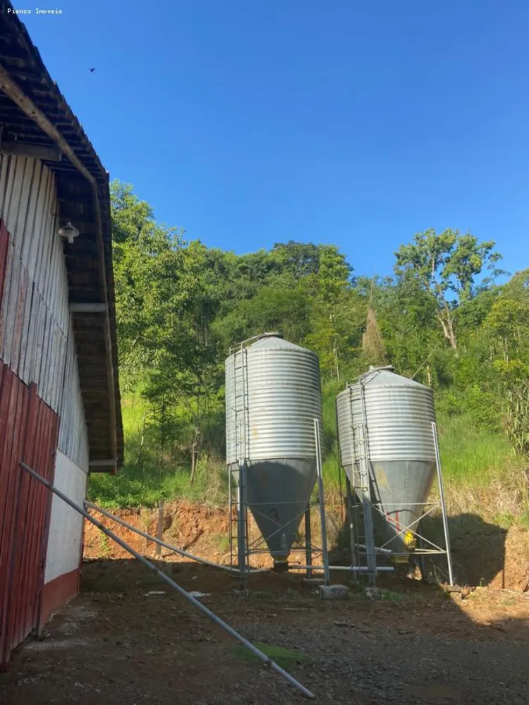 Terreno, 5 hectares - Foto 10