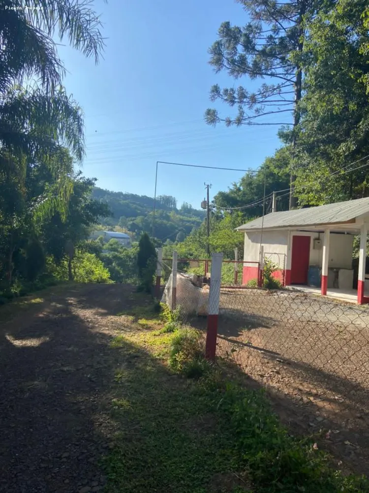 Terreno, 5 hectares - Foto 4