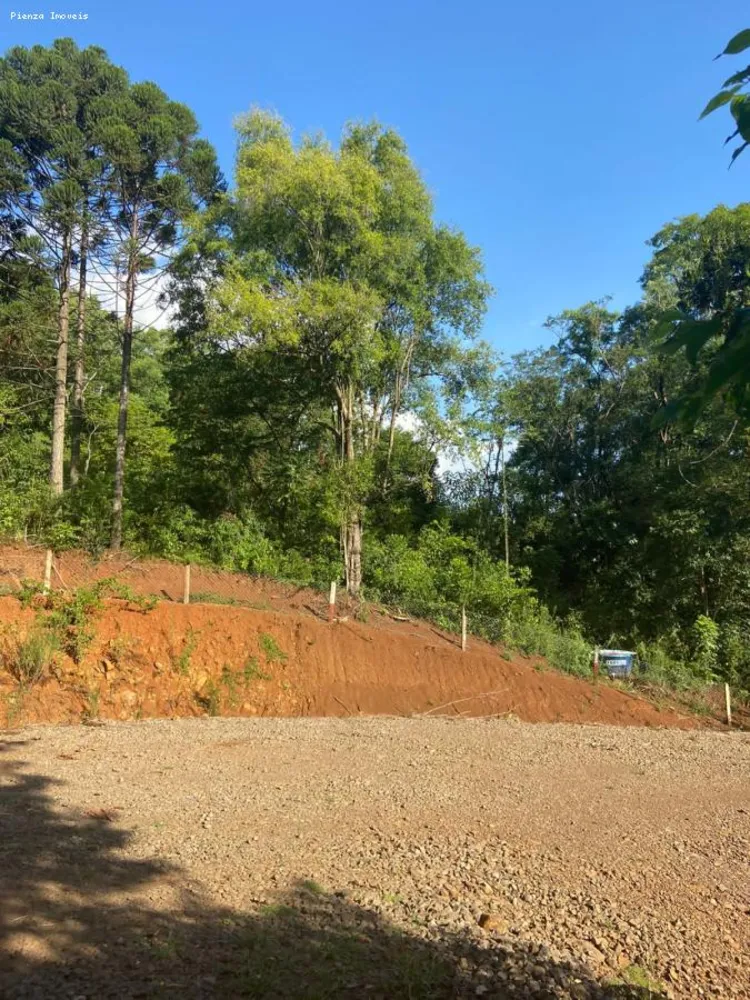Terreno, 5 hectares - Foto 8