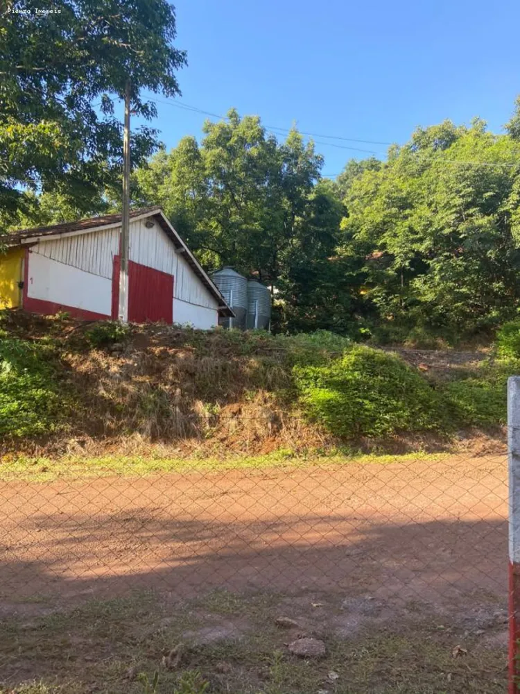 Terreno, 5 hectares - Foto 3