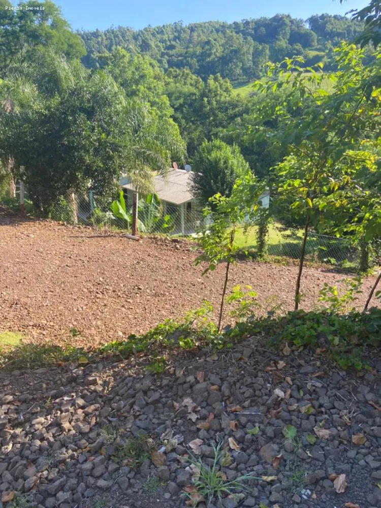 Terreno, 5 hectares - Foto 6