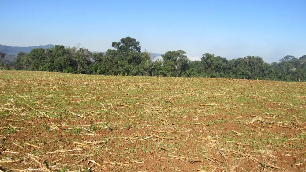 Terreno, 2 hectares - Foto 1