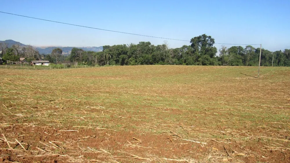 Terreno, 2 hectares - Foto 4