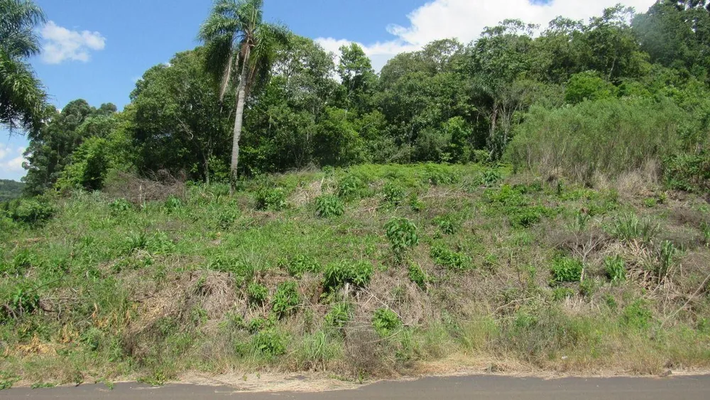 Terreno, 606 m² - Foto 3