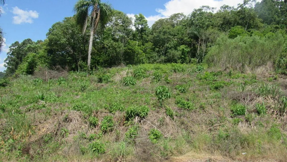 Terreno, 606 m² - Foto 1