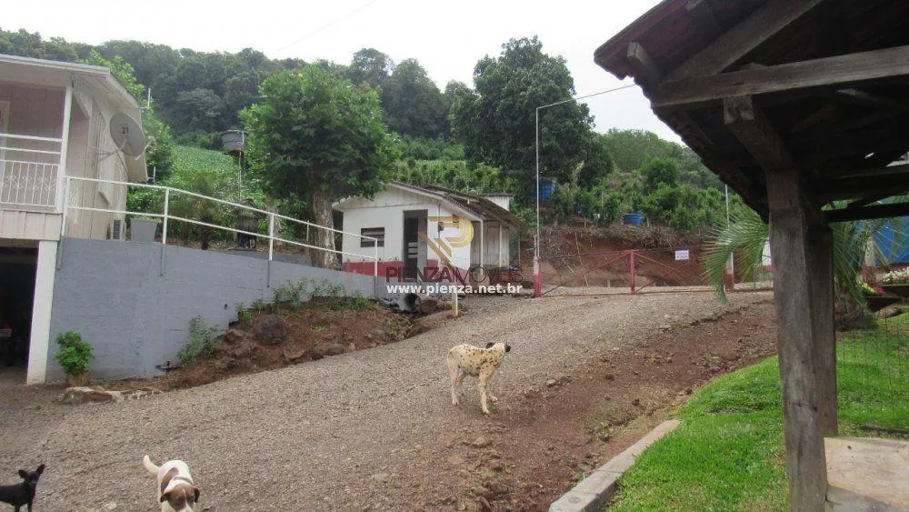 Terreno, 7 hectares - Foto 3