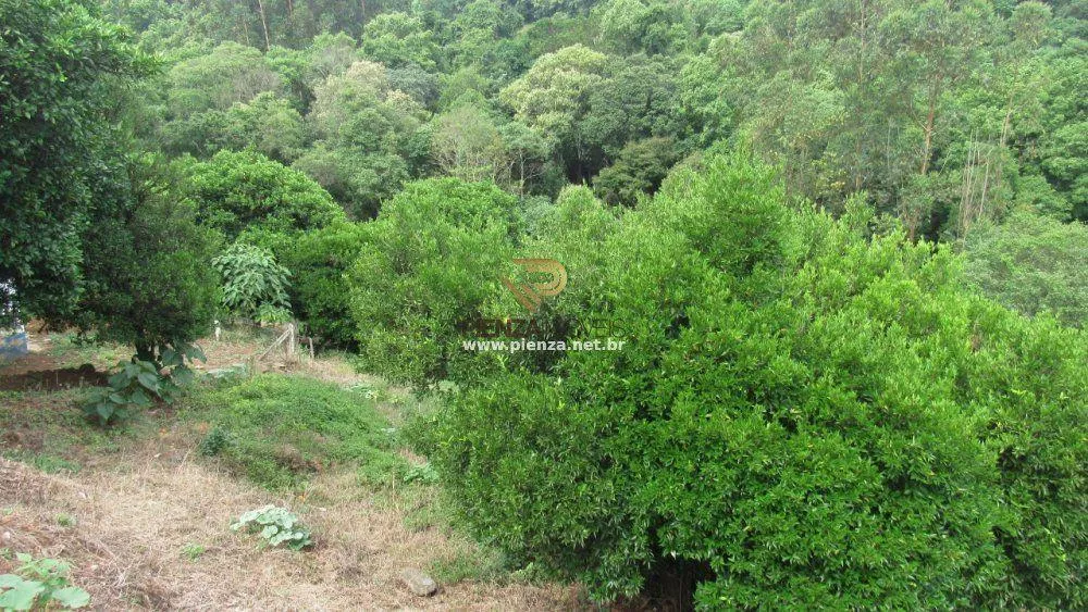 Terreno, 7 hectares - Foto 4