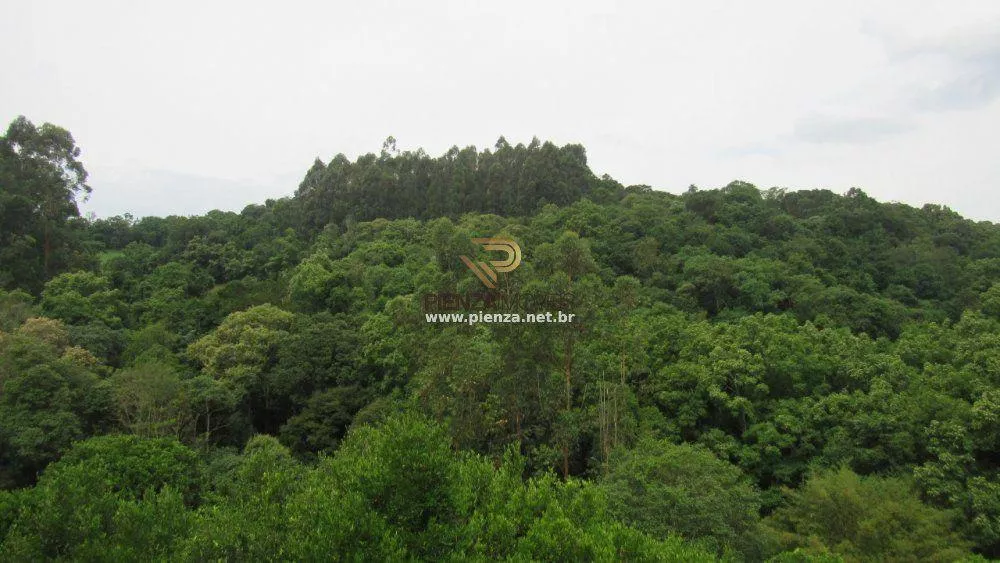 Terreno, 7 hectares - Foto 1