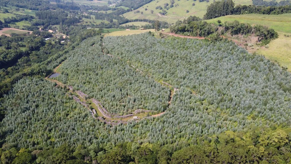 Terreno, 17 hectares - Foto 8