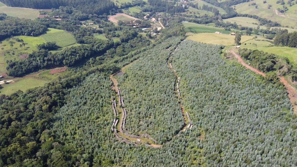 Terreno, 17 hectares - Foto 3