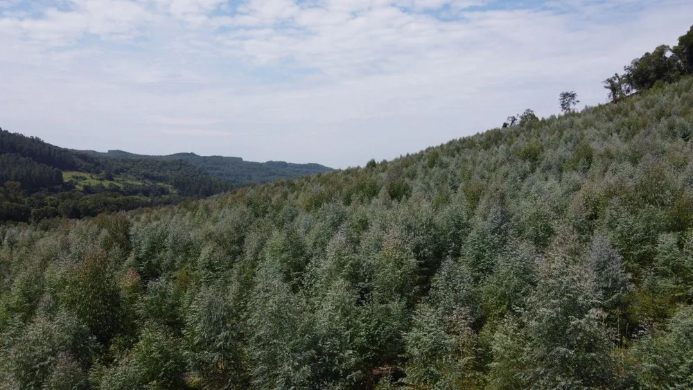 Terreno, 17 hectares - Foto 1