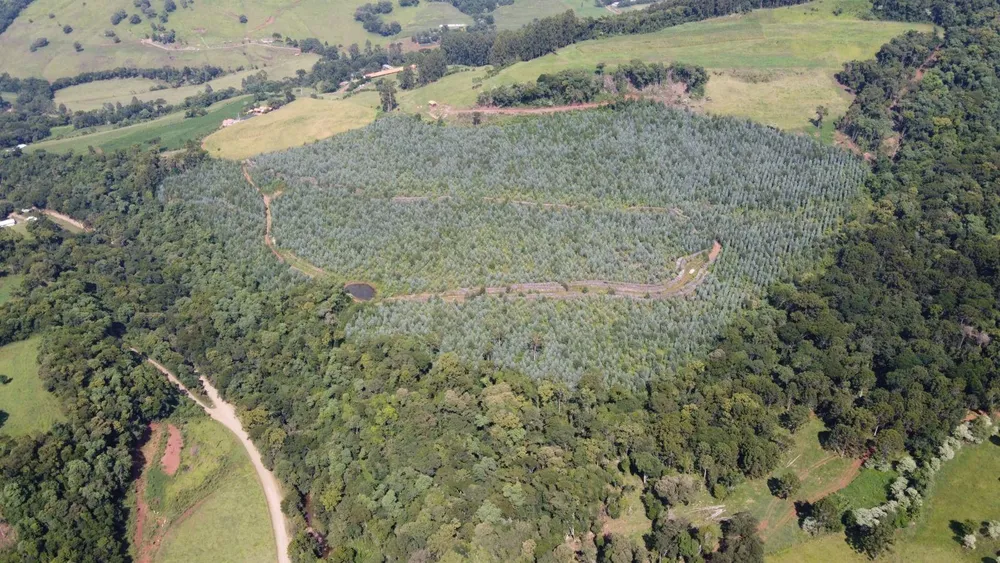 Terreno, 17 hectares - Foto 7