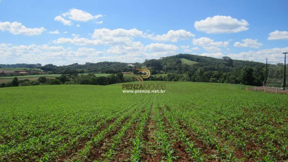 Loteamento e Condomínio, 11 hectares - Foto 3