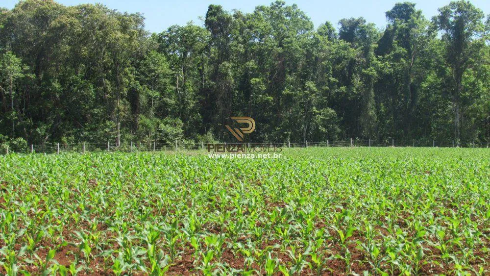 Loteamento e Condomínio, 11 hectares - Foto 6