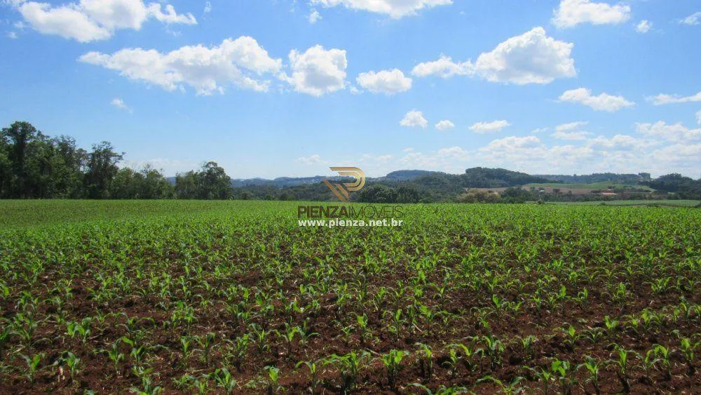 Loteamento e Condomínio, 11 hectares - Foto 5