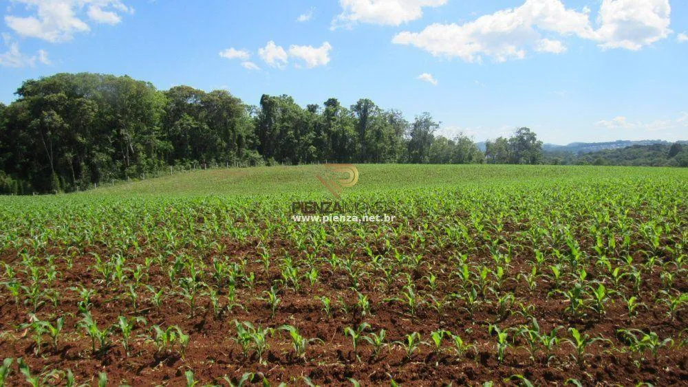 Loteamento e Condomínio, 11 hectares - Foto 1
