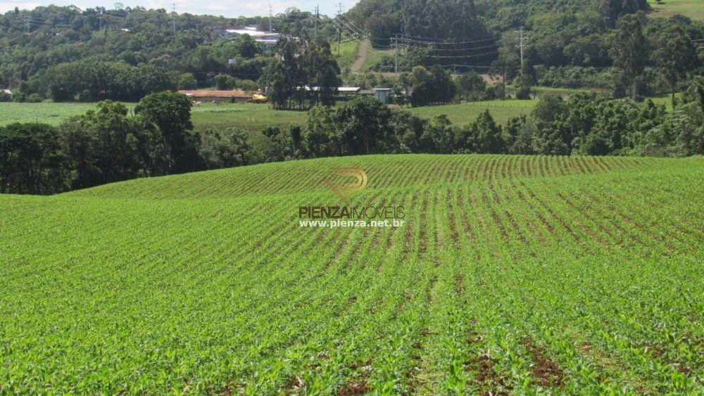 Loteamento e Condomínio, 11 hectares - Foto 7