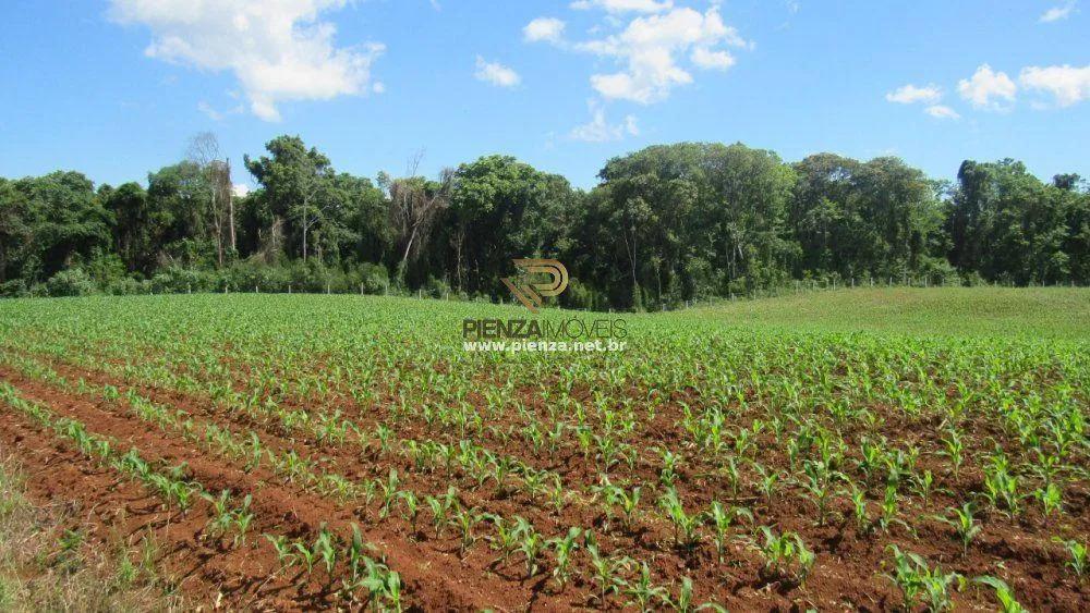 Loteamento e Condomínio, 11 hectares - Foto 2