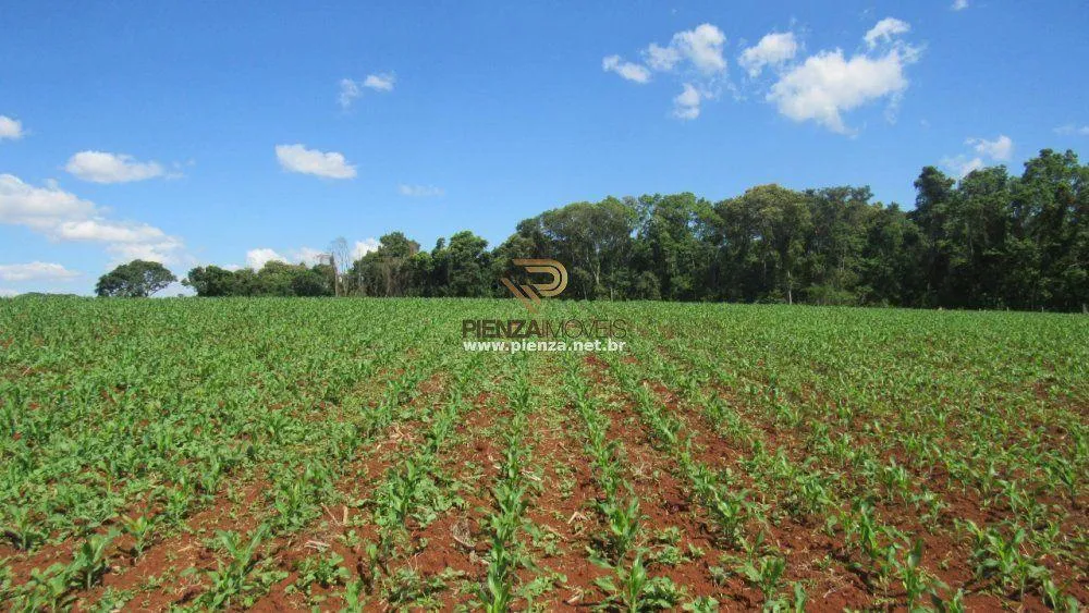 Loteamento e Condomínio, 11 hectares - Foto 10