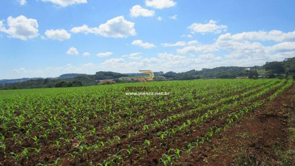 Loteamento e Condomínio, 11 hectares - Foto 4
