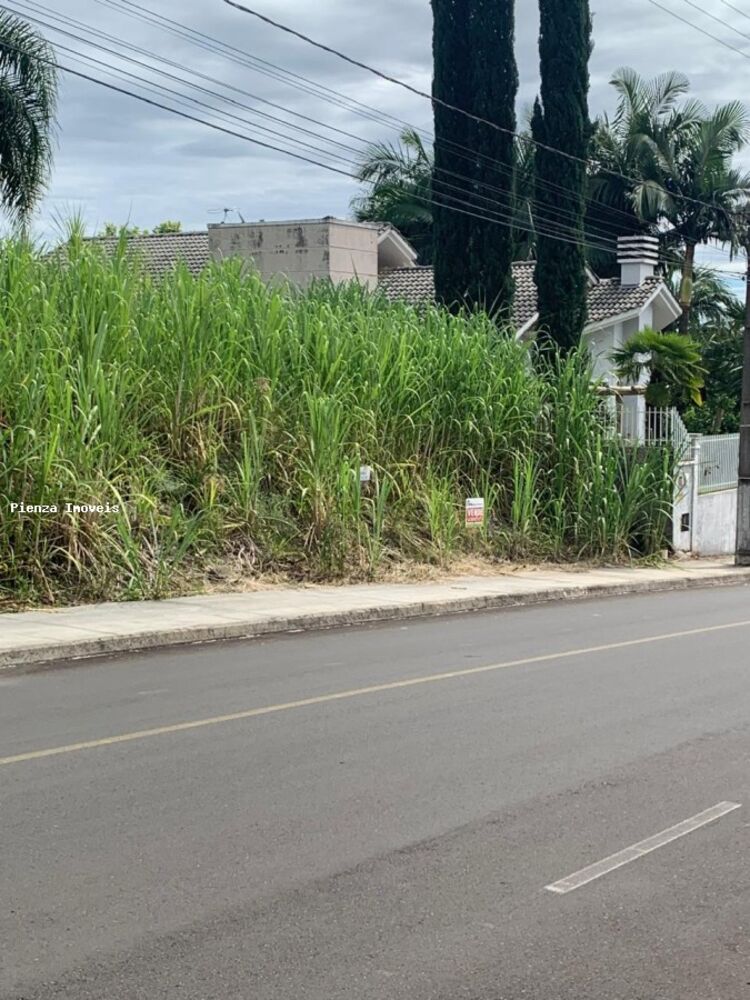 Terreno, 450 m² - Foto 4