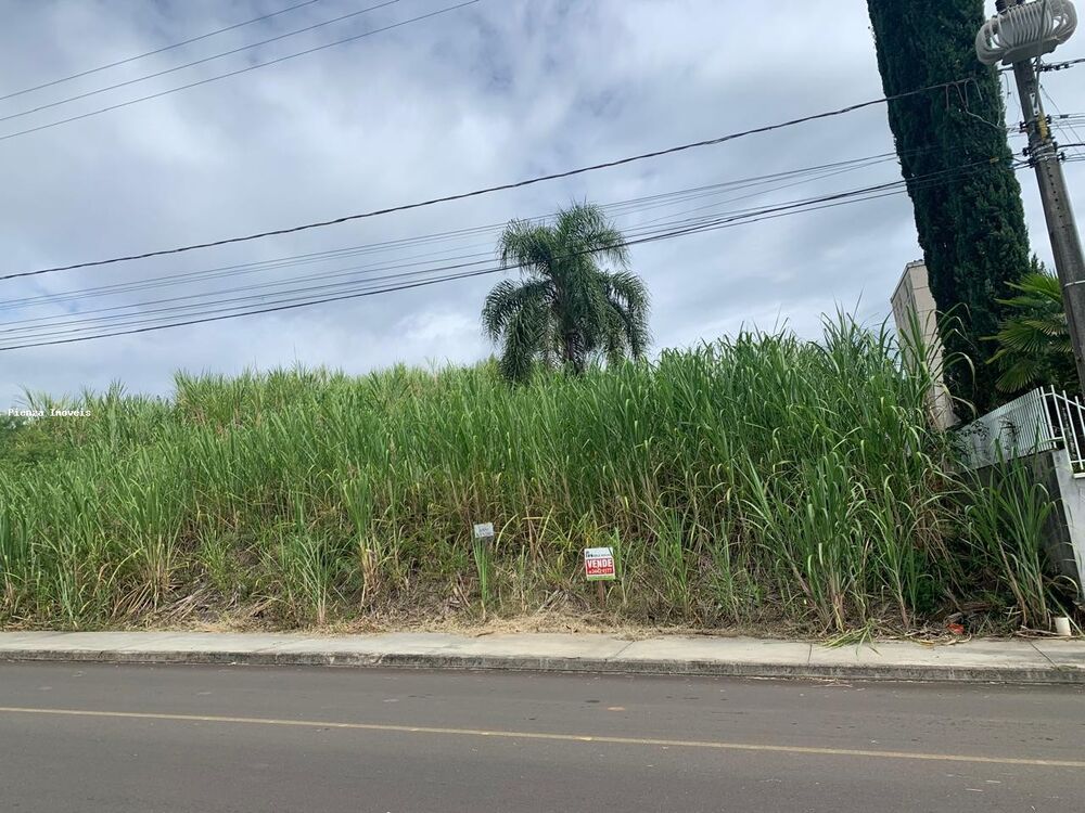 Terreno, 450 m² - Foto 7