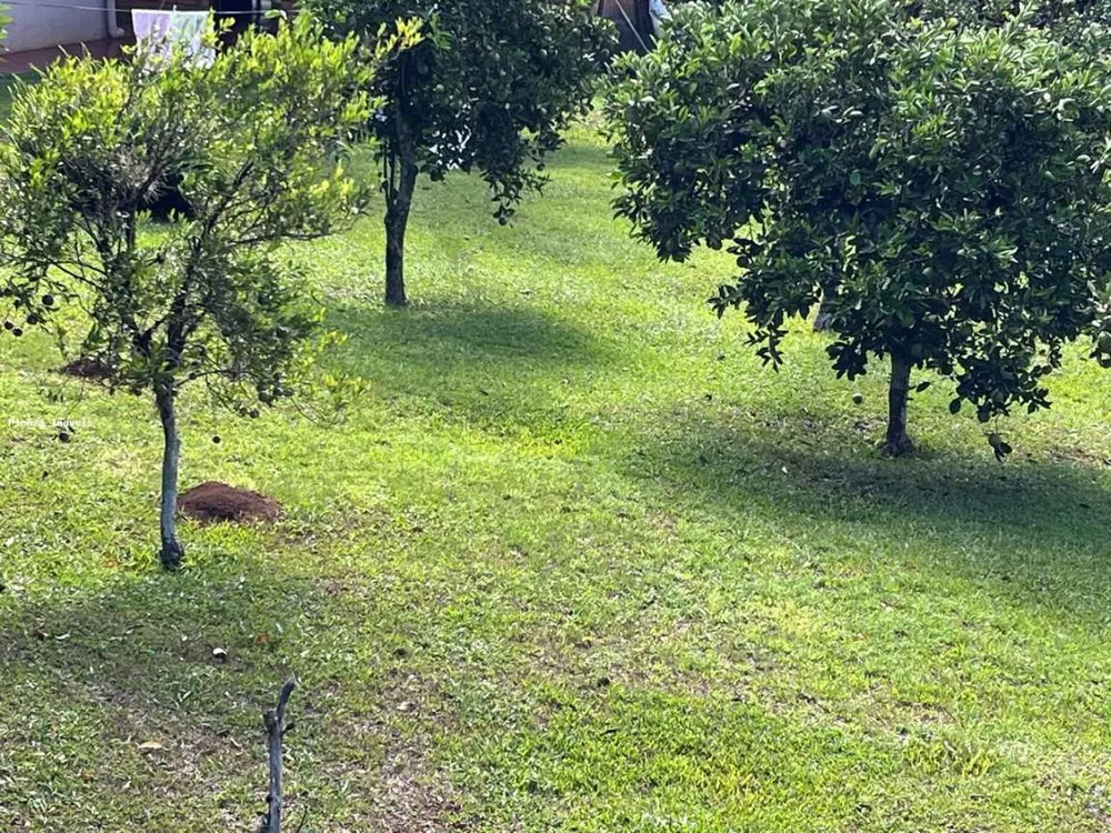 Terreno, 800 m² - Foto 5