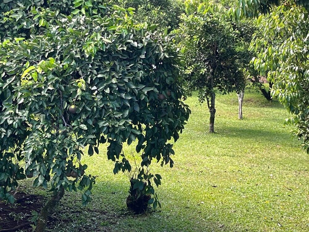 Terreno, 800 m² - Foto 2