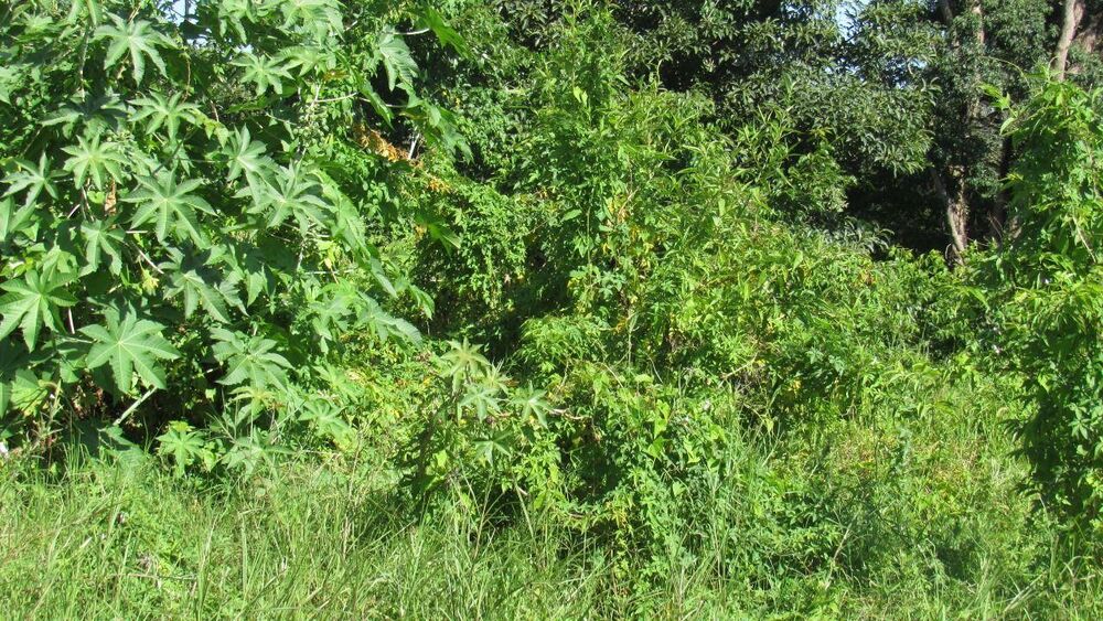 Terreno, 482 m² - Foto 12