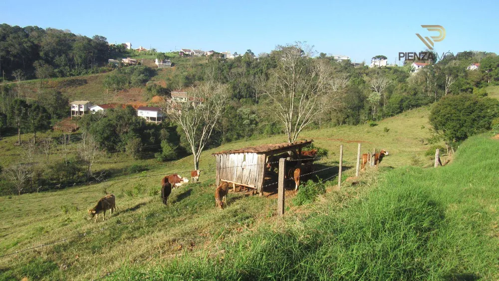 Terreno à venda, 20000M2 - Foto 5