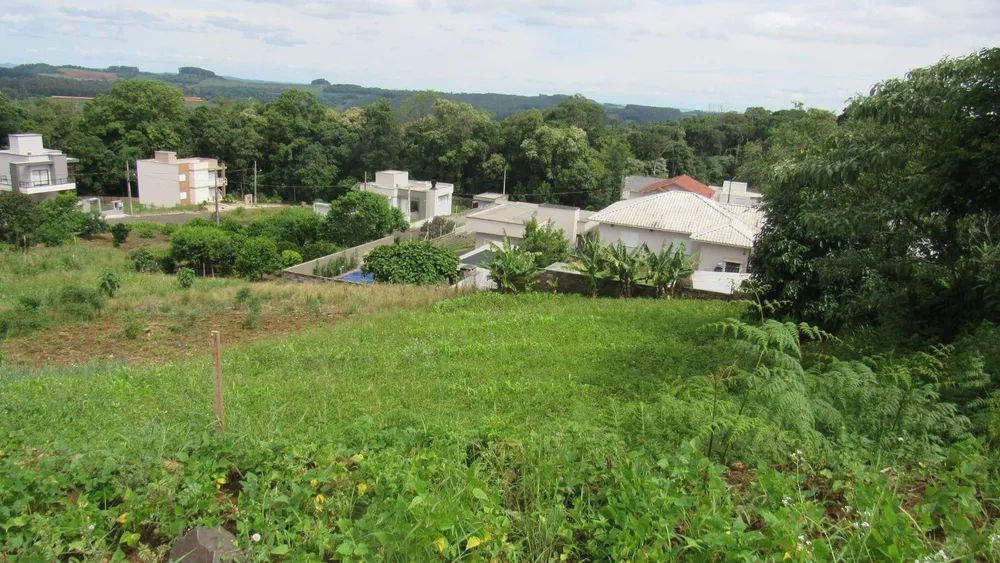 Terreno, 498 m² - Foto 3