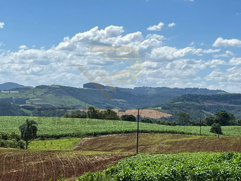 Loteamento e Condomínio, 8 hectares - Foto 1