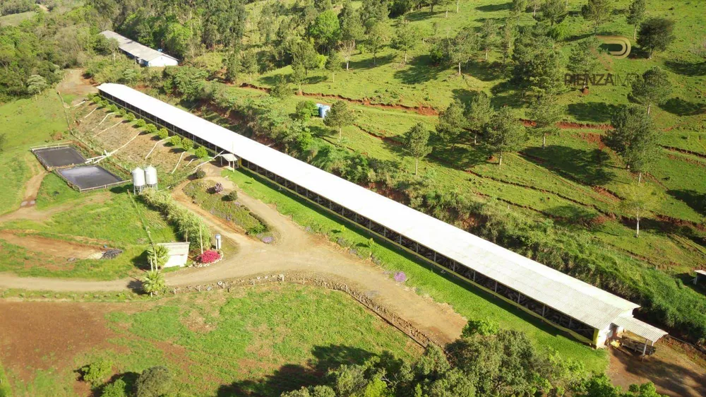 Terreno à venda, 510000M2 - Foto 3