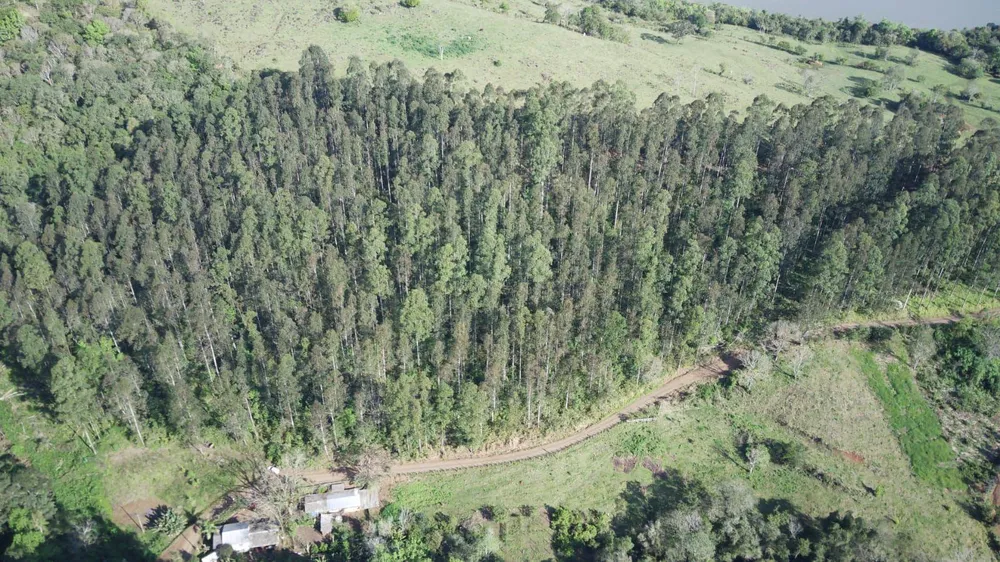 Terreno, 4 hectares - Foto 1