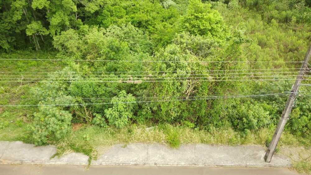 Terreno, 525 m² - Foto 4