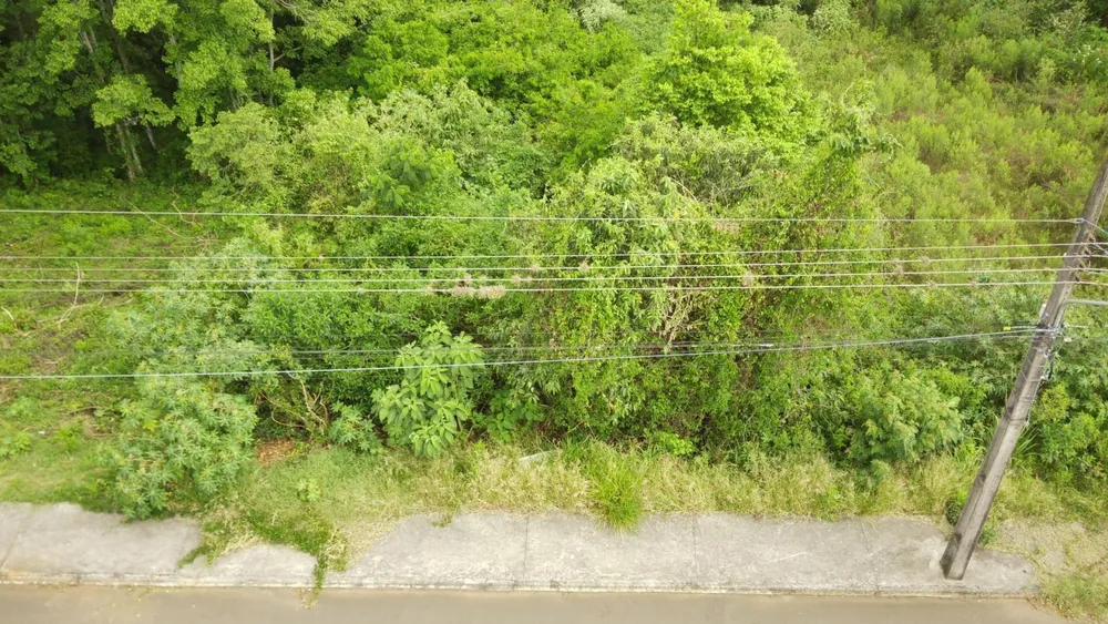 Terreno, 525 m² - Foto 1