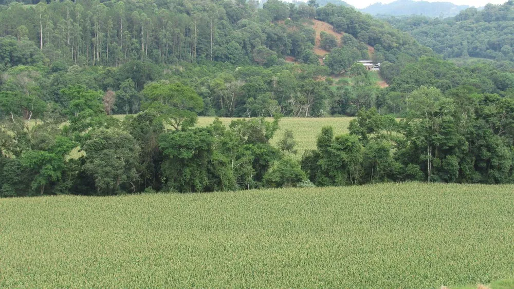 Loteamento e Condomínio, 18 hectares - Foto 9